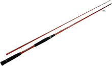 Load image into Gallery viewer, C2WX-862M-MF-S - Wild Orange Giant 2-Piece Spinning Rod 8&#39;6&quot; Med Mod Fast