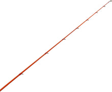 Load image into Gallery viewer, C2WXP701M-M-C - Wild Wild Pro 1-Piece Casting Rod 7&#39;0&quot; Med Mod